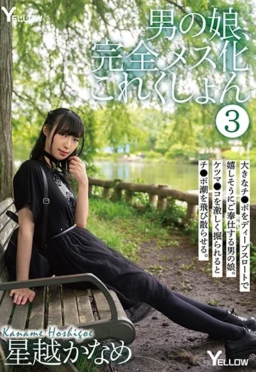 HERY-105 Hoshikoshi Kaname 男の娘、完全メス化これくしょん 3 Yellow / HERO