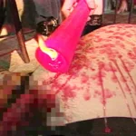 TMD-023 Hentai Puremiamu 実録 カリスマ女王様の裏流出 SM調教白書 ~アメとムチ~ 2 その他SM 桃太郎映像出版
