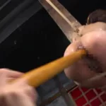 GTJ-094 Mogami Sayuki ケツの穴 串刺し拷問 Gold TOHJIRO Label
