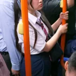 NHDTC-246 満員バスで対面スロー中出し羞恥に興奮して精子掻き出しオナニーしだすデカ尻J○ Humiliation Huge Butt